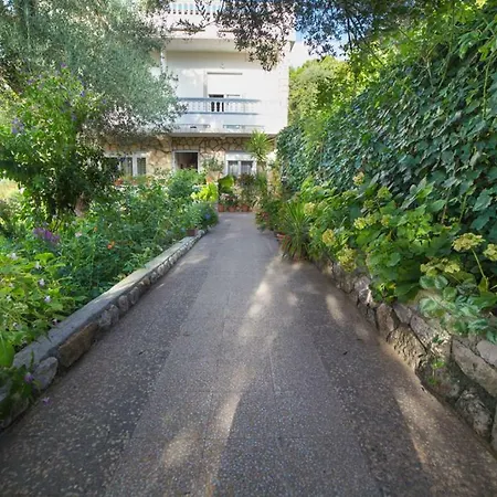 Apartmán Violet Banjol