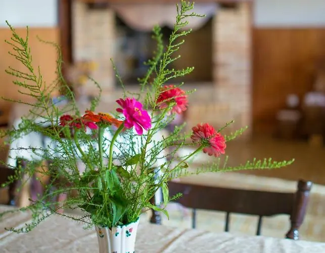 Appartement Violet *