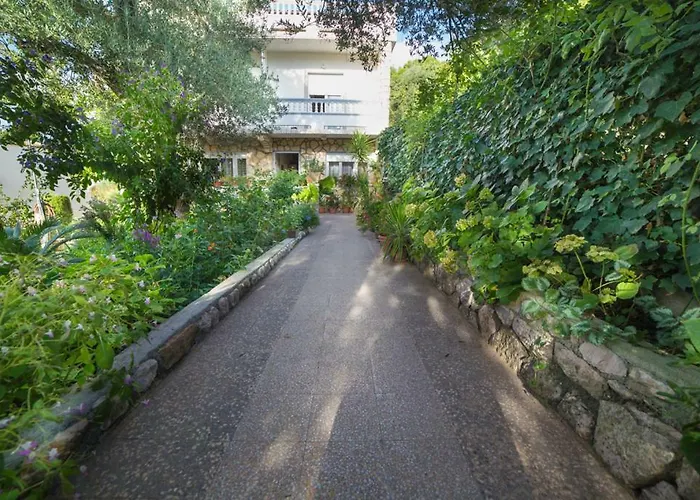 Apartmán Violet Banjol